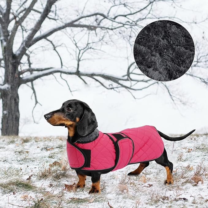 Geyecete Warm Thermal Quilted Dachshund Coat