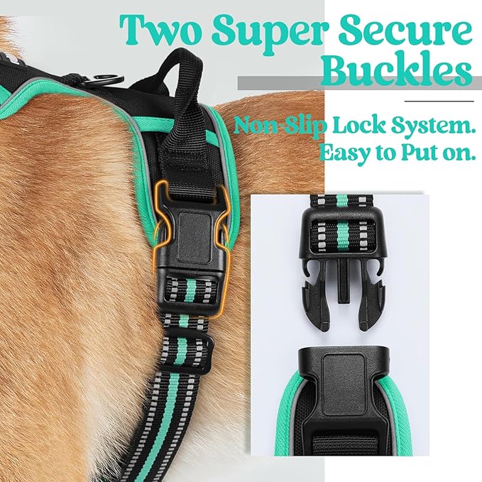 rabbitgoo Dog Harness, No-Pull Pet Harness with 2 Leash Clips, Adjustable Soft Padded Dog Vest, Reflective No-Choke Pet Oxford Vest with Easy Control Handle for Large Dogs, Black & Turquoise, S