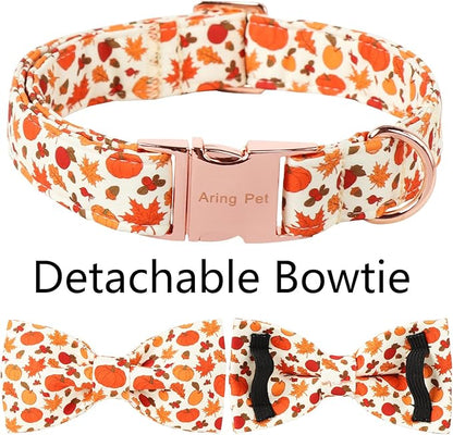 ARING PET Fall Dog Collar-Cute Halloween Dog Collar with Bow