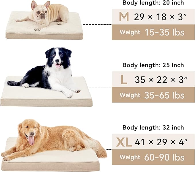 Medium Dog Beds for Medium Dogs