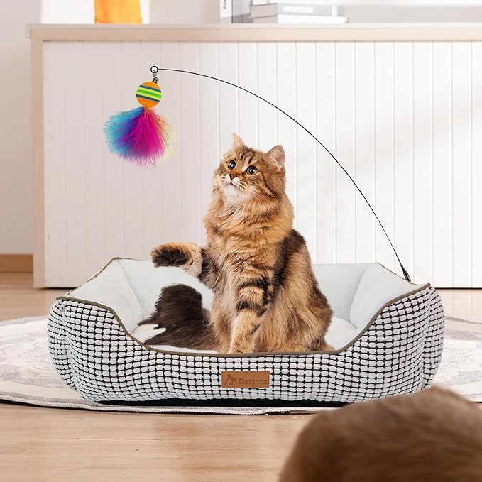 Dog Bed Cat，25×21×8 ",