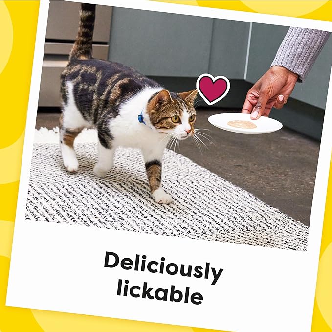 Temptations Creamy Puree Squeezable Lickable Wet Cat Treats with Salmon 0.42 oz. 24