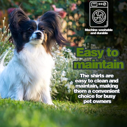 Elevate Your Dog's Fashion Quotient with Colorful and