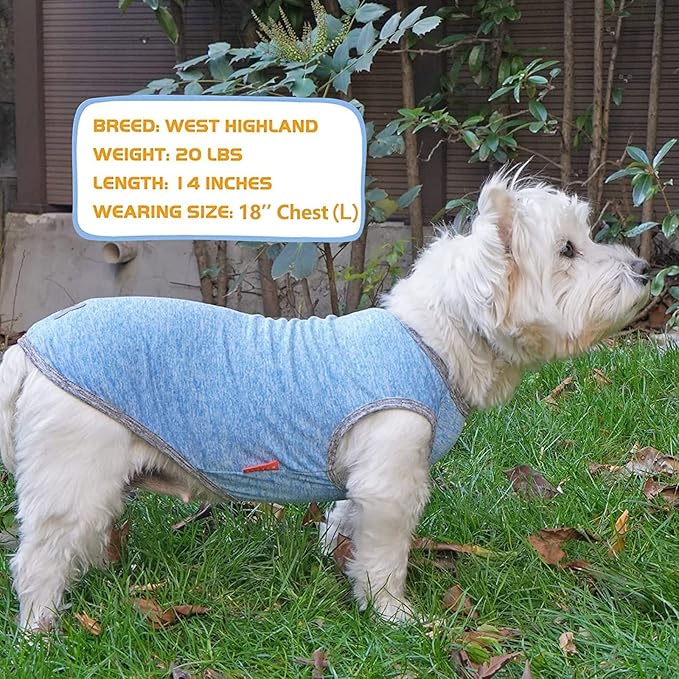 KYEESE 2 Pack Dog Shirts Quick Dry Soft Stretchy Dog T-Shirts with Reflective Label Tank Top Sleeveless Vest Sun Protection Dog Clothes for Small Dogs