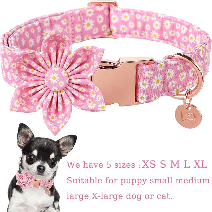 Summer Dog Collar with Flower 10-16in