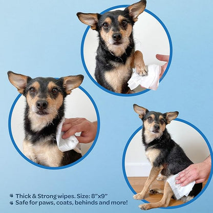 Best Pet Supplies 8" x 9" Pet Grooming Wipes for Dogs 400 Pack,