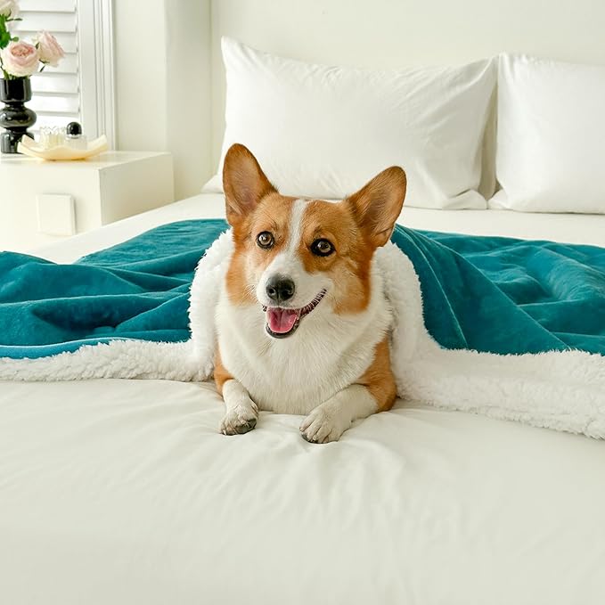 Bucephalus Waterproof Dog Blanket 50"×60")