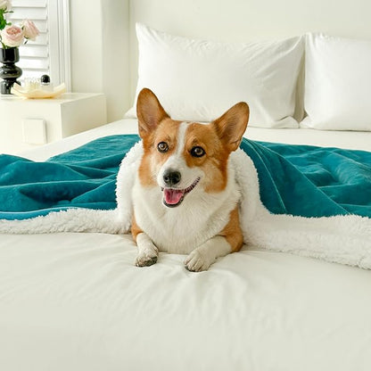 Bucephalus Waterproof Dog Blanket 50"×60")