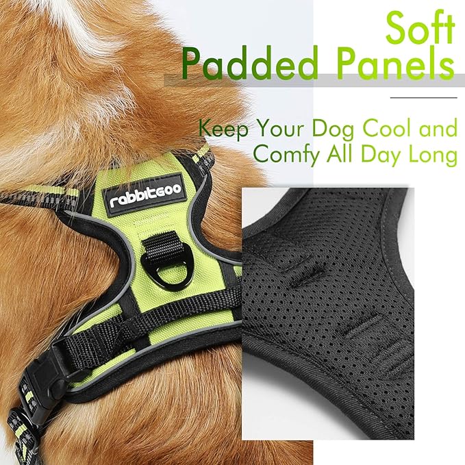 rabbitgoo Dog Harness, No-Pull Pet Harness with 2 Leash Clips, Adjustable Soft Padded Dog Vest, Reflective No-Choke Pet Oxford Vest with Easy Control Handle for Large Dogs, Wild Lime, XL