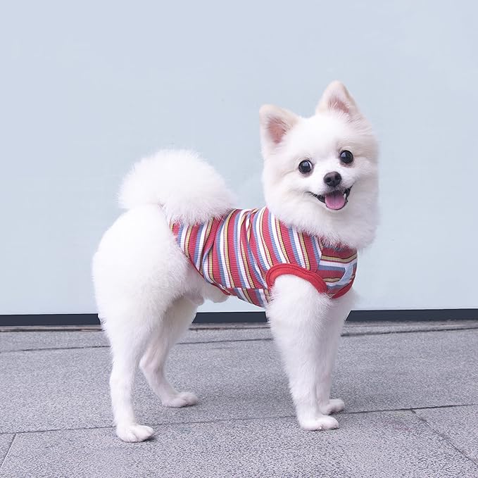 Striped Teacup Pet Dog T-Shirts 100% Cotton 2X-Small