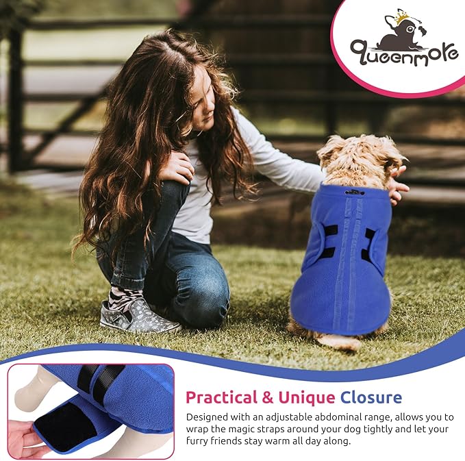 Queenmore Small Dog Sweater