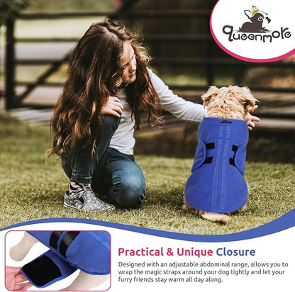 Queenmore Small Dog Sweater