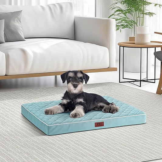 Orthopedic Dog Beds for Small Dogs with Removable Washable Cover 22 inch,Wash-Blue
