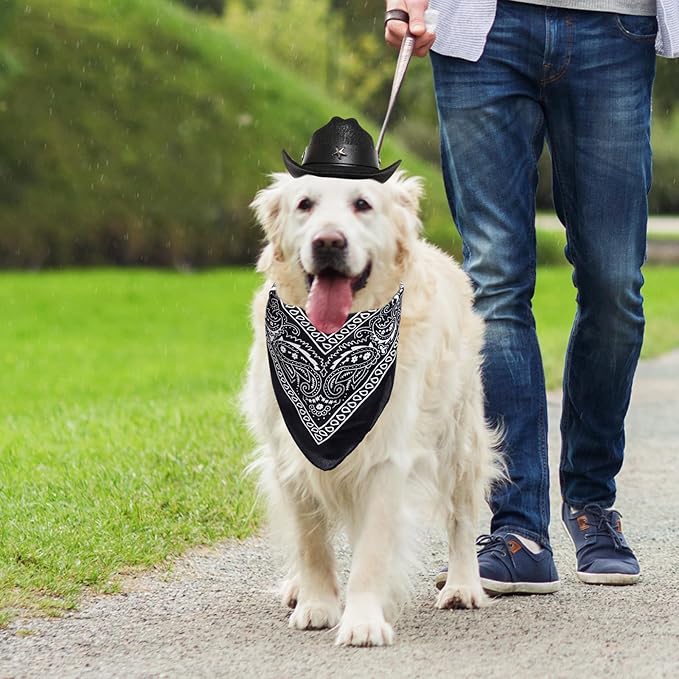 Dog Cowboy Hat with Star Decoration Dog Cowboy Costume for Small Pet Dogs Cat Cowboy Hat with Bandana Scarf Set Party Accessories (Black, Small)