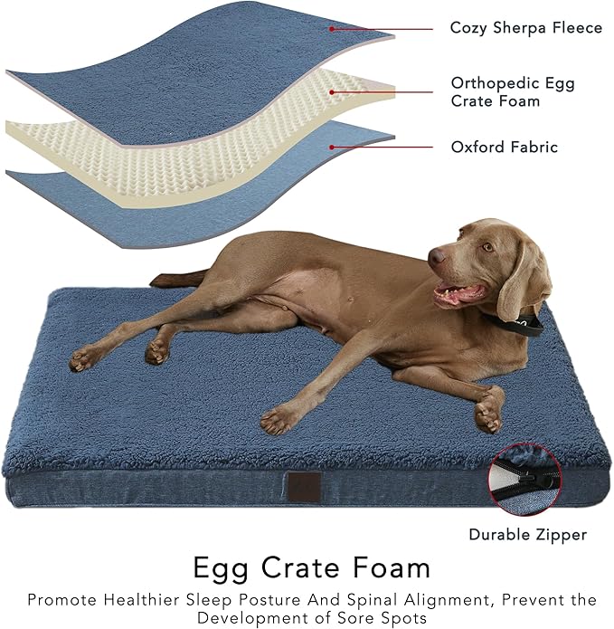 DaysU Dog Bed for Extra Large Dogs 100 Ibs, 44x32x3in