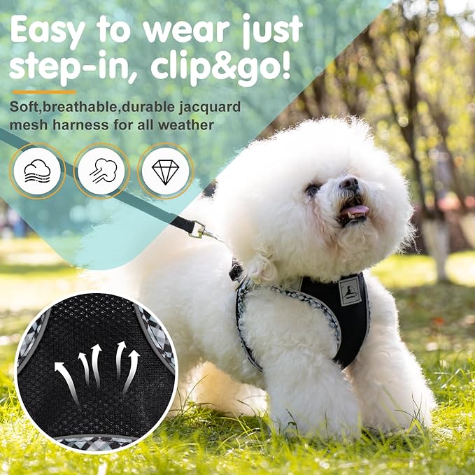 Dog Harness and Leash Set, No Pull Pet Harness for Small Dogs Easy Walking,Soft Breathable Small Dog Harness,Adjustable Reflective Step in Vest Harness for Puppy,Kitten, Cats