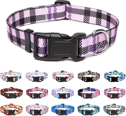 Adjustable Dog Collar with Patterns