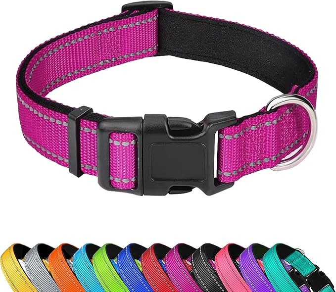 Reflective Dog Collar