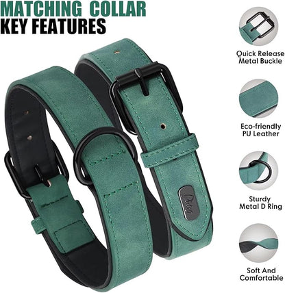 Didog Soft Padded Leather Dog Collar and Leash Set 4FT Leather