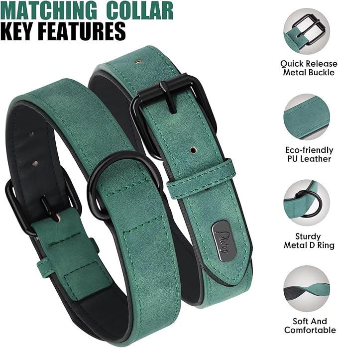 Didog Soft Padded Leather Dog Collar and Leash Set 4FT Leather