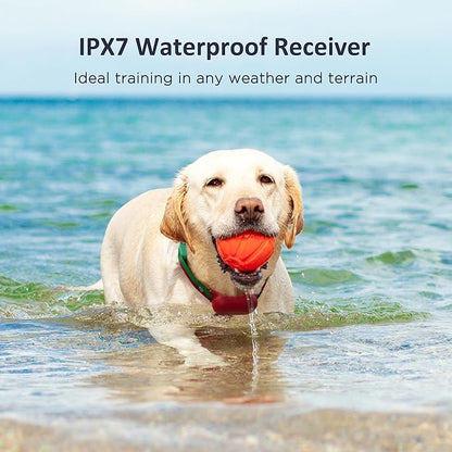 PATPET Dog Training Collar with Remote 3 Adjustable (8-120 lbs)