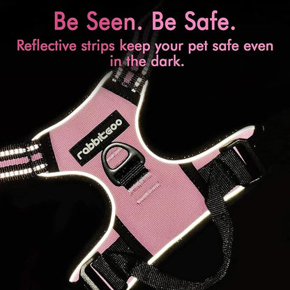 rabbitgoo Dog Harness 2 Leash