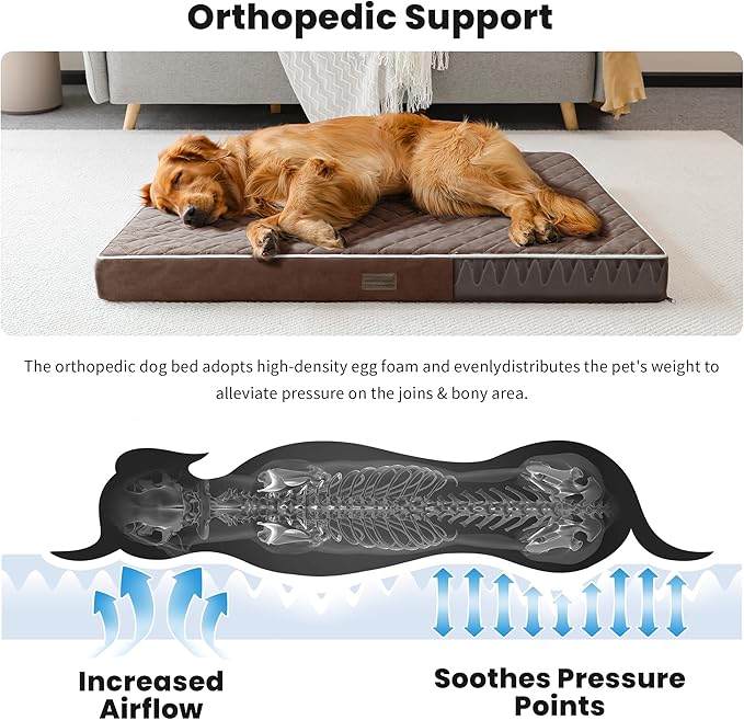 SunStyle Home Orthopedic Dog Beds for XX-Large Dogs
