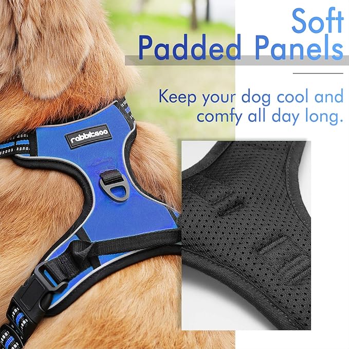 rabbitgoo Dog Harness, No-Pull Pet Harness with 2 Leash Clips, Adjustable Soft Padded Dog Vest, Reflective No-Choke Pet Oxford Vest with Easy Control Handle for Small Dogs, Dazzling Blue, S