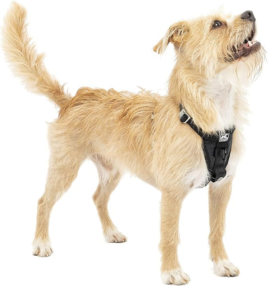 Kurgo Tru-Fit Enhanced Strength Dog Harness