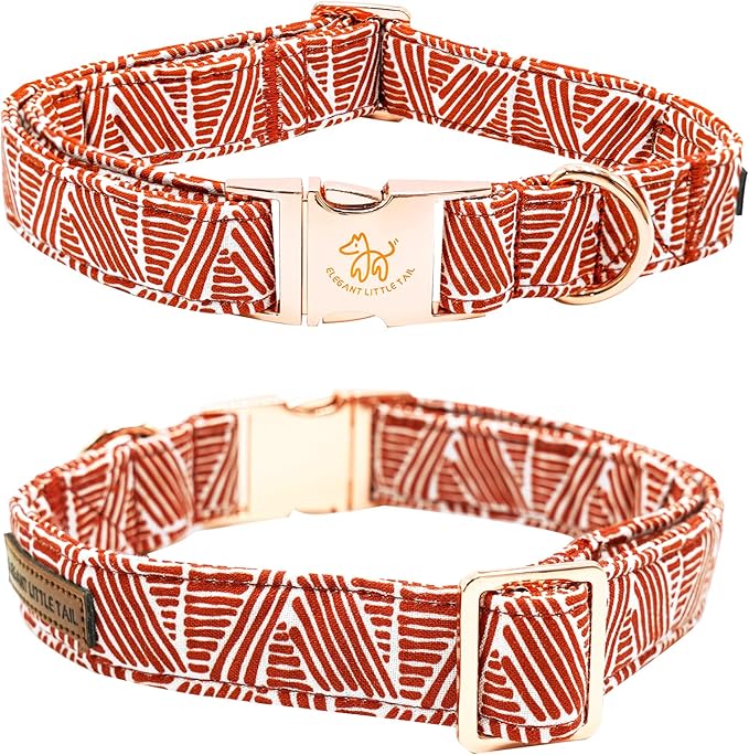 Elegant little tail Fall Dog Collar