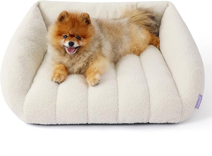 Lesure Orthopedic Dog Bed Sofa for Small Dogs & Cats Foam(24" x 18" x 9.5", Cream)