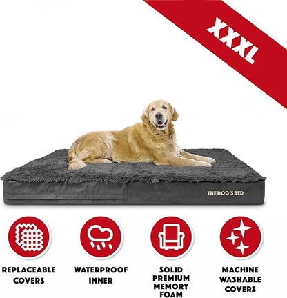 The Dog’s Bed Orthopedic Memory Foam Jumbo Dog Bed 64x44, Pain