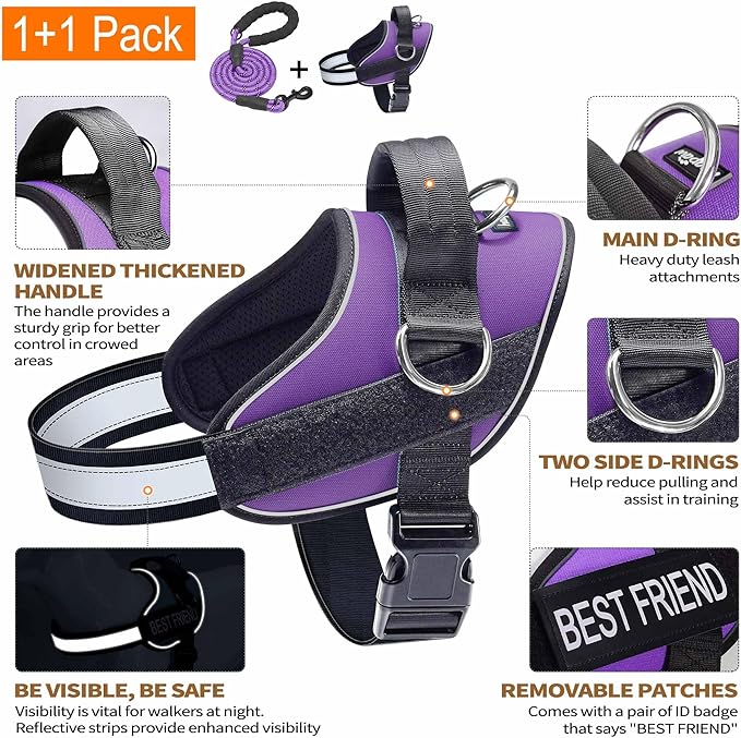 Haapaw Essential Dog Harness, No Pull Pet Vest with 3 Leash Clips, No Choke, Reflective, Adjustable and Padded, for Easy Walking and Training for Medium Dogs(M, Purple)