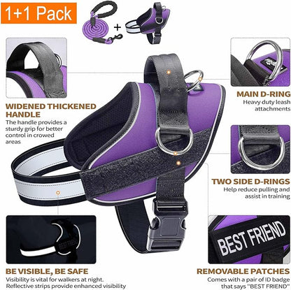 Haapaw Essential Dog Harness, No Pull Pet Vest with 3 Leash Clips, No Choke, Reflective, Adjustable and Padded, for Easy Walking and Training for Large Dogs(L, Purple)