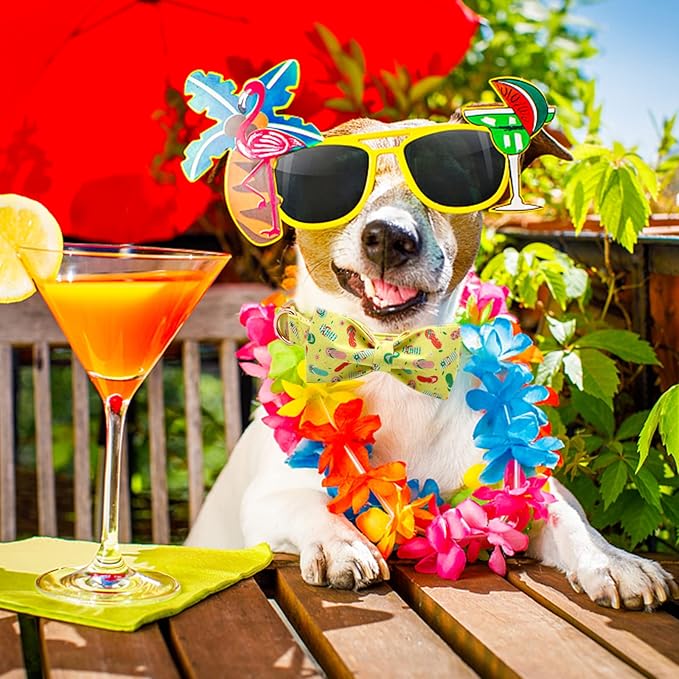 Elegant little tail Dog Collar with Bow