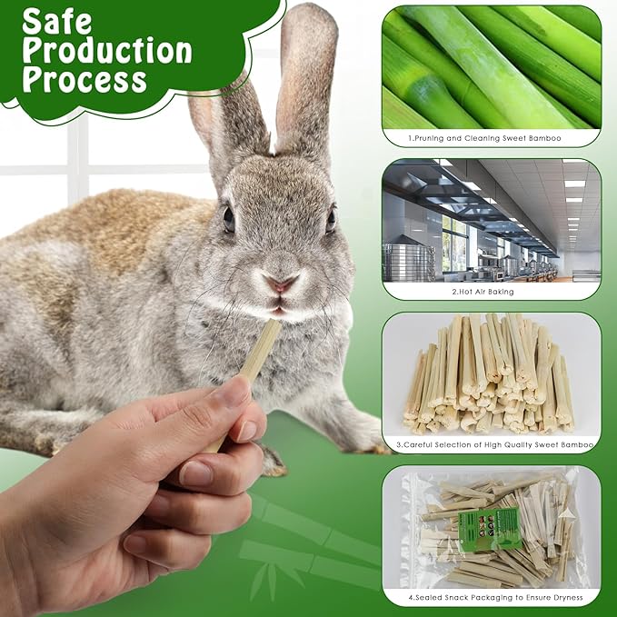 BWOGUE 1000g Pet Snacks Sweet Bamboo Chew Toy for Squirrel Rabbits Guinea Pigs Chinchilla Hamster