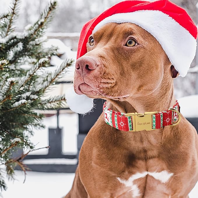 Unique style paws Dog Collar Metal Buckle Collar