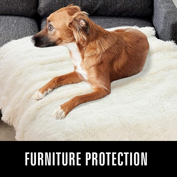 LOCHAS Luxury Fluffy Dog Blanket 40''x60'' Cream