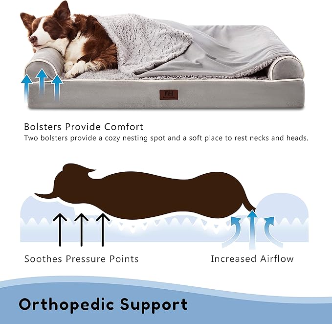 Orthopedic Dog Beds for Large Dogs