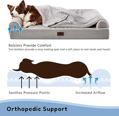 Orthopedic Dog Beds for Large Dogs
