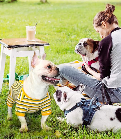 TONY HOBY Dog Pajamas