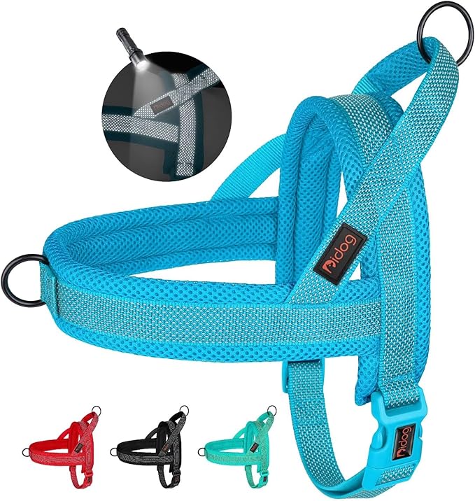 Didog No Pull Dog Harness with Breathable Mesh Padded, Full Reflective & Quick Fit Adjustable Vest Harness, Easy for Training Walking for Small & Medium and Large Dogs (Blue, S)