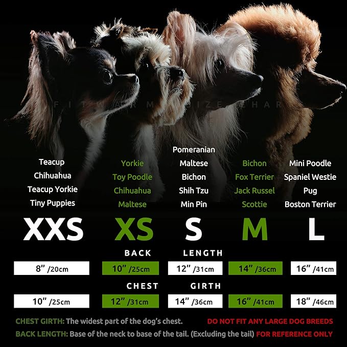 Fitwarm Cherry Dog Dress