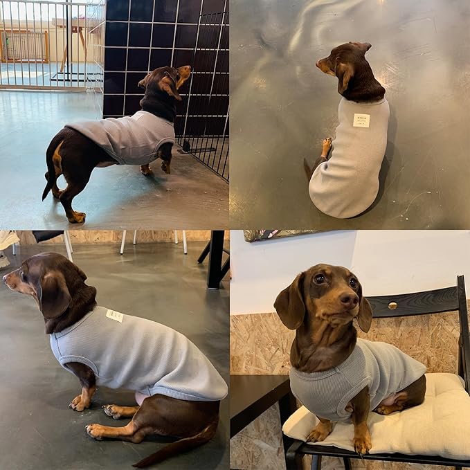Dachshund Clothes for Dogs Mini and Adults T Shirts (S