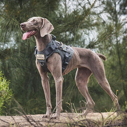 OneTigris Tactical Dog Harness Vest