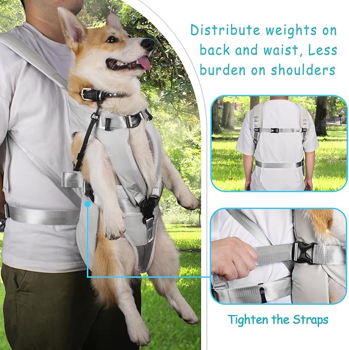 PetBonus Pet Front Dog Carrier Backpacks, Adjustable Dog Backpack Carrier, Legs Out Easy-fit Dog Chest Carrier for Medium Small Dogs, Hands Free Dog Front Carrier for Hiking, Cycling (Grey, S)