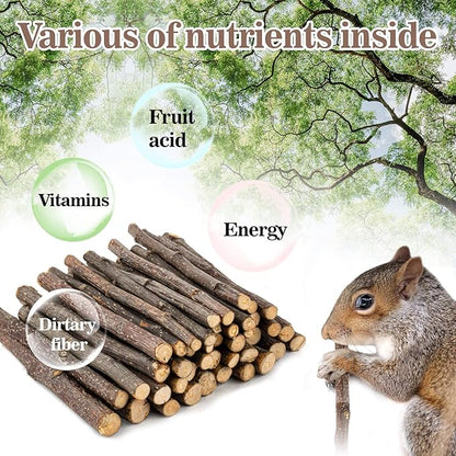 Sukh Natural Organic Apple Sticks - 250g Hamster Chew Toys Hams Rabbit Bunny Gerbil Guinea Pig Squirrel Chinchilla Animal Chew Toys Chew Sticks