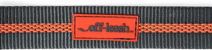 Dexas Double Handled Reflective Dog Leash