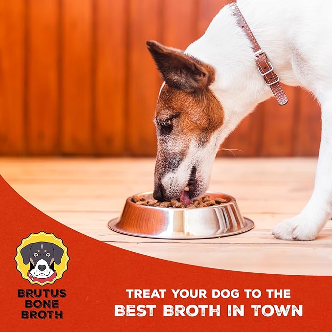 Brutus Bone Broth for Dogs | All Natural | Made in USA | Glucosamine & Chondroitin for Healthy Joints | Human Grade Ingredients | Hydrating Dog Food Topper, Gravy & Treat (Pork, 6-Pack)