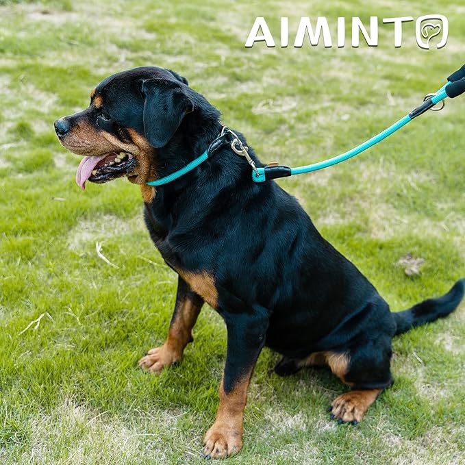 Dog Leash ((1/2") - 6FT, Light